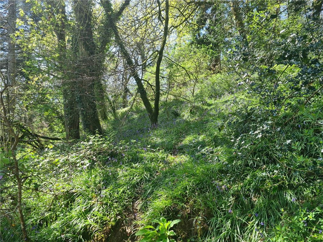 4 bedroom house, Cookbury Court, Cookbury EX22 - Available