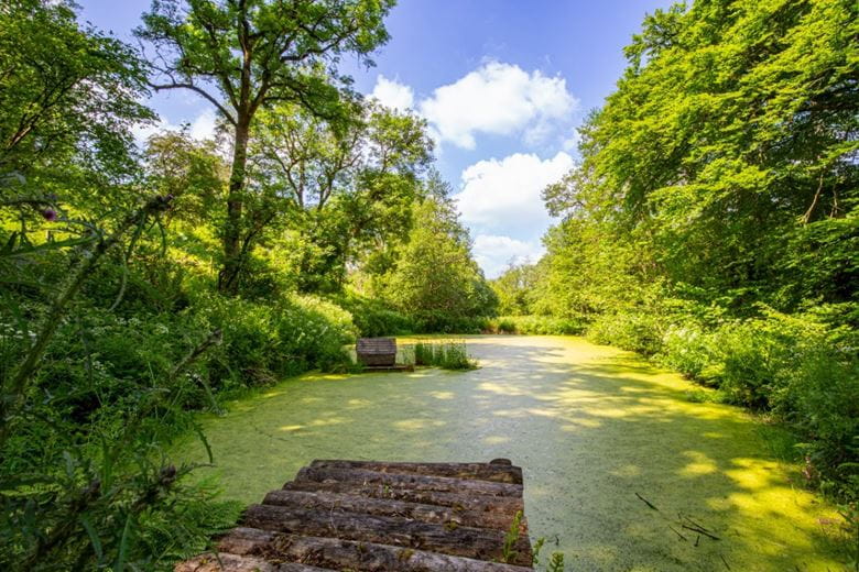 4 bedroom house, Cookbury, Holsworthy EX22 - Available