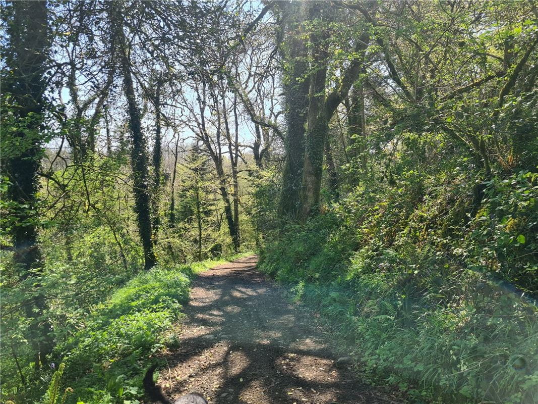 4 bedroom house, Cookbury, Holsworthy EX22 - Available