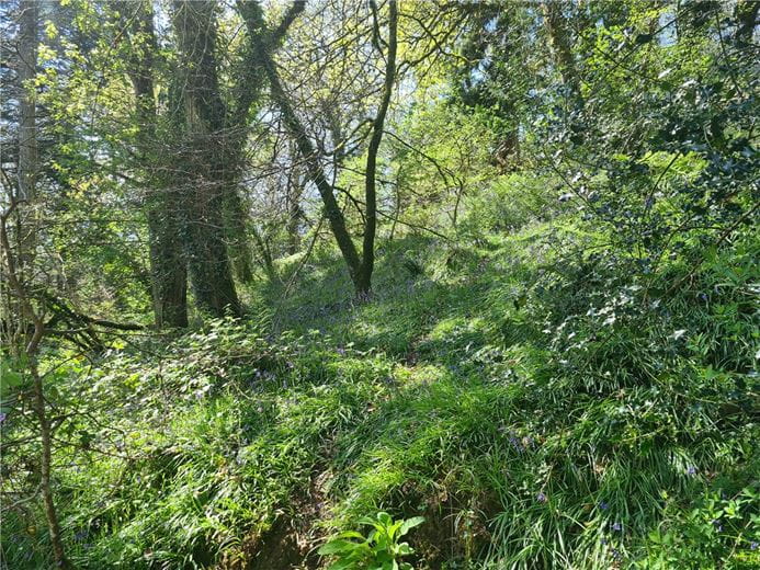 4 bedroom house, Cookbury, Holsworthy EX22 - Available