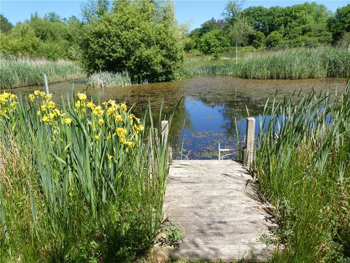 21.1 acres House, Winkleigh, Devon EX19 - Available