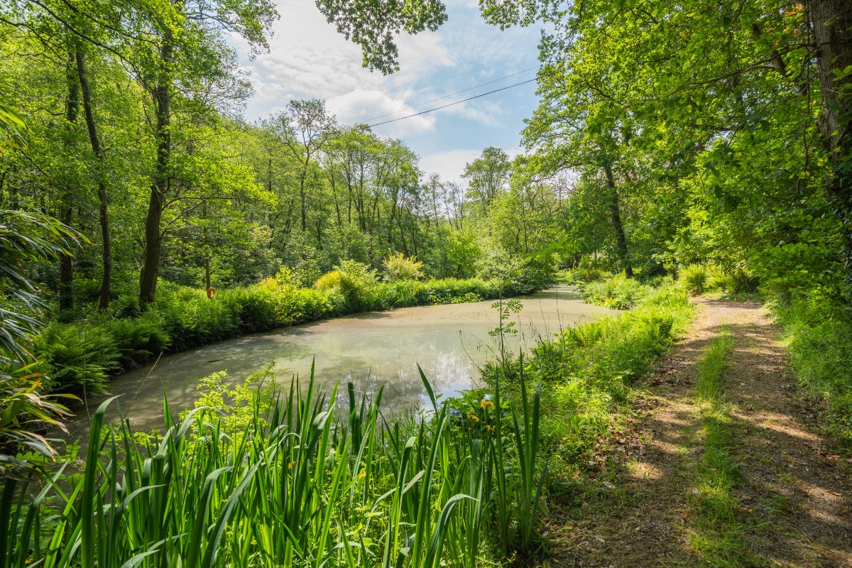 17.7 acres Country Estate, Muddiford, Barnstaple EX31 - Available