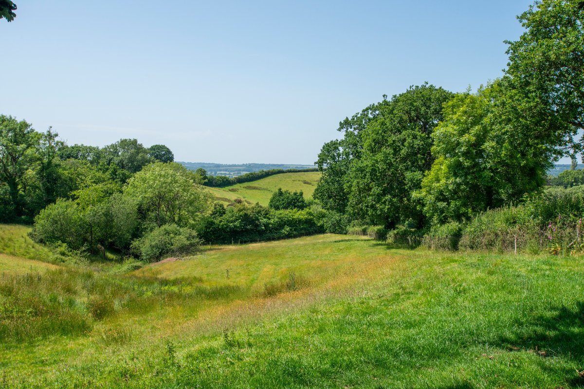 36.9 acres House, East Hill, Ottery St. Mary EX11 - Sold