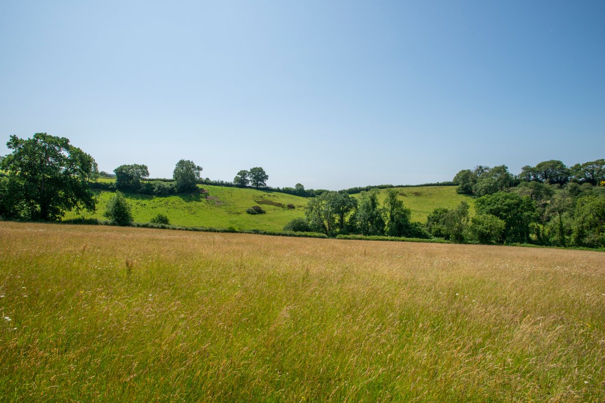 36.9 acres House, East Hill, Ottery St. Mary EX11 - Sold