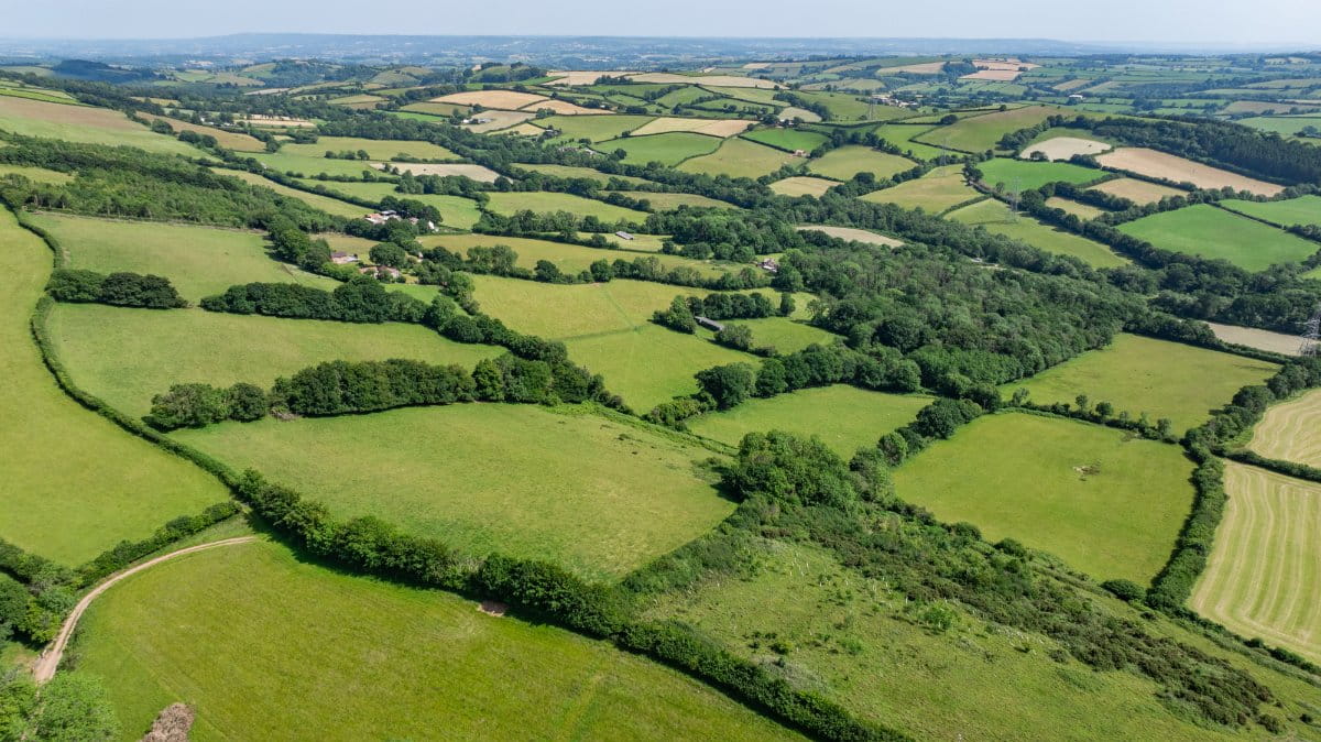 52.7 acres Land, Land At Shillingford, Tiverton EX16 - Sold