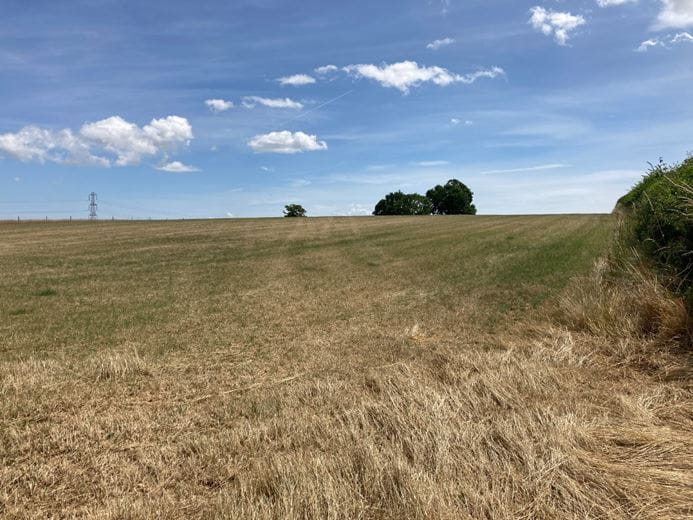 2.8 acres Land, Lot 1: Land At Goathurst, Goathurst TA5 - Sold