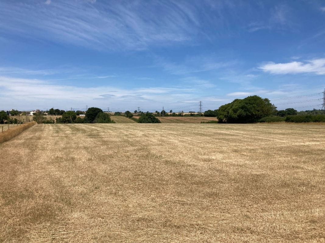 3.1 acres Land, Lot 2: Land At Goathurst, Goathurst TA5 - Sold