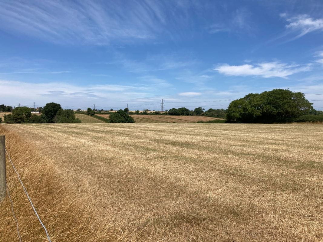 3.1 acres Land, Lot 2: Land At Goathurst, Goathurst TA5 - Sold