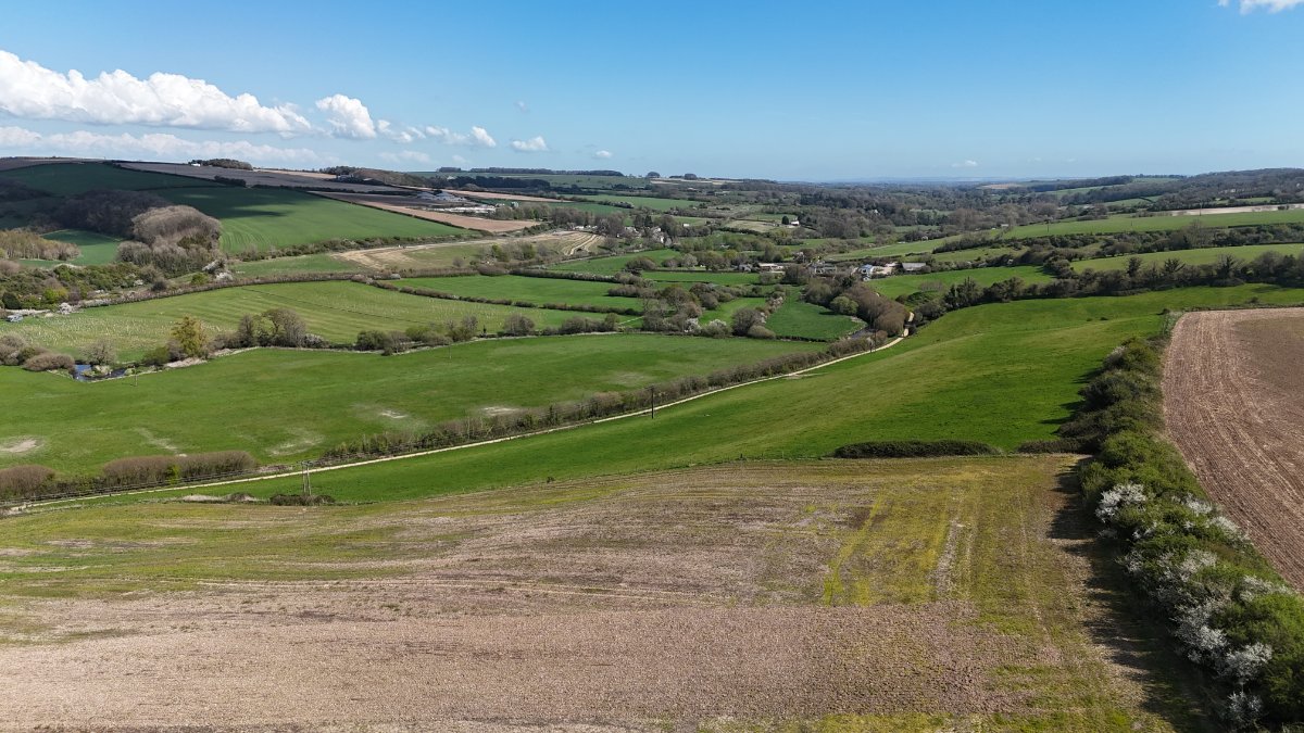 86.1 acres Land, Lot 2: Land At Cruxton Manor Farm, Cruxton DT2 - Available