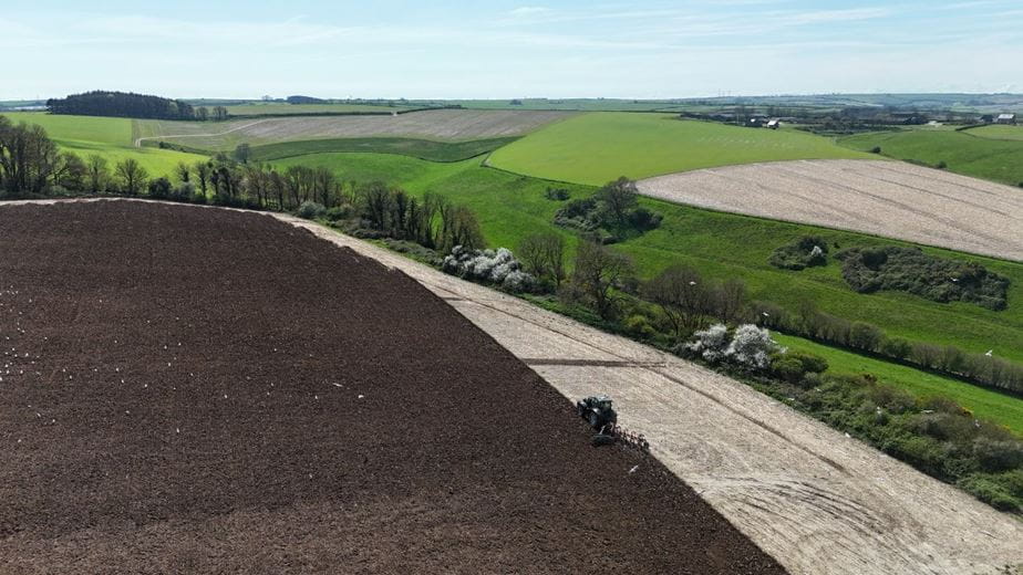 86.1 acres Land, Lot 2: Land At Cruxton Manor Farm, Cruxton DT2 - Available