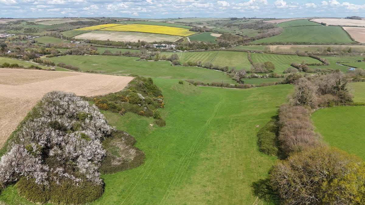 86.1 acres Land, Lot 2: Land At Cruxton Manor Farm, Cruxton DT2 - Available