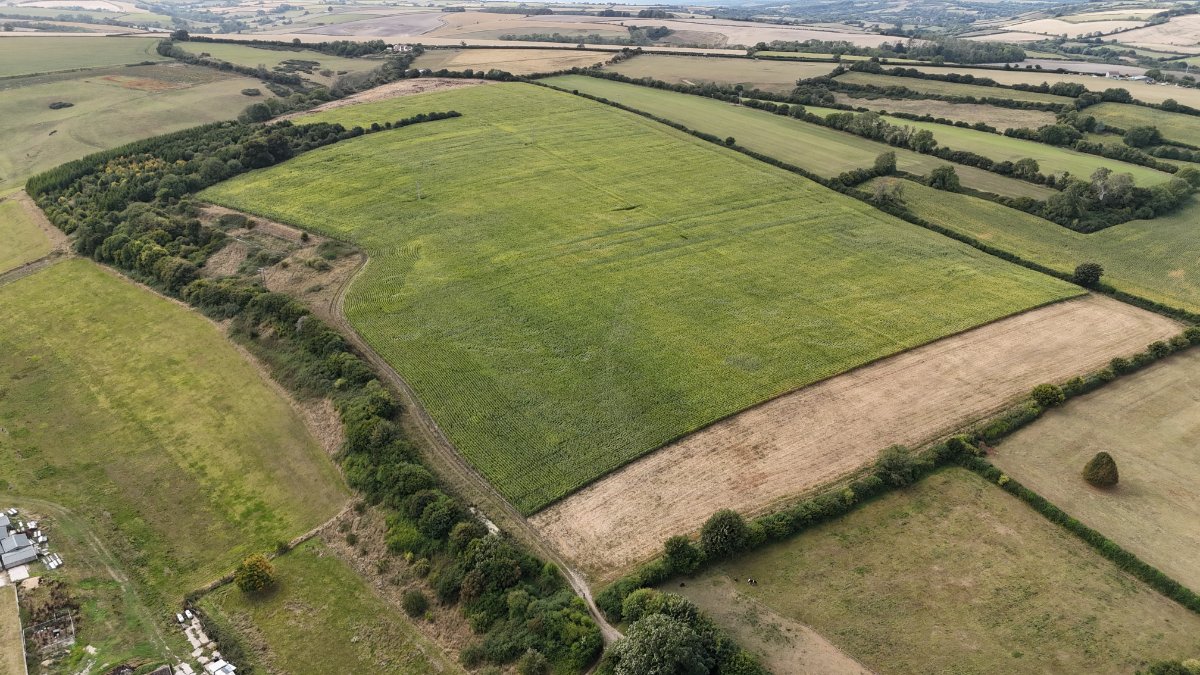 46.4 acres Land, Lot 3: Land At Cruxton Manor Farm, Cruxton DT2 - Available