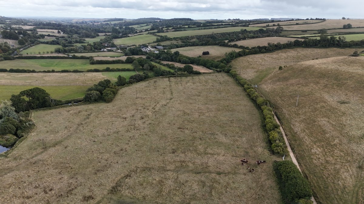 11.2 acres Land, Lot 6: Land At Cruxton Manor Farm, Cruxton DT2 - Available