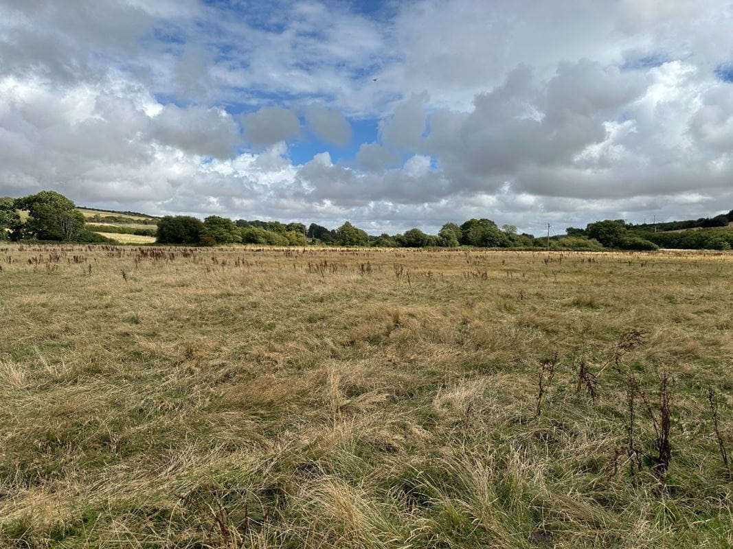 11.2 acres Land, Lot 6: Land At Cruxton Manor Farm, Cruxton DT2 - Available