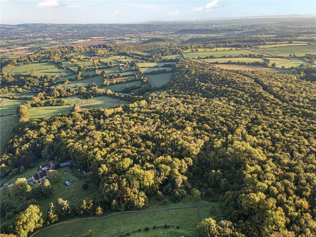 25.5 acres Land, Blake's Copse and Whitford Copse, Corfe TA3 - Sold STC