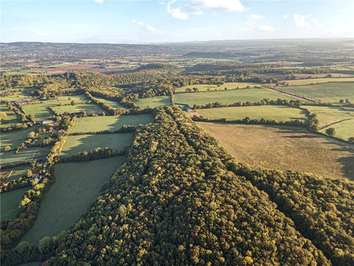 25.5 acres Land, Blake's Copse and Whitford Copse, Corfe TA3 - Sold STC