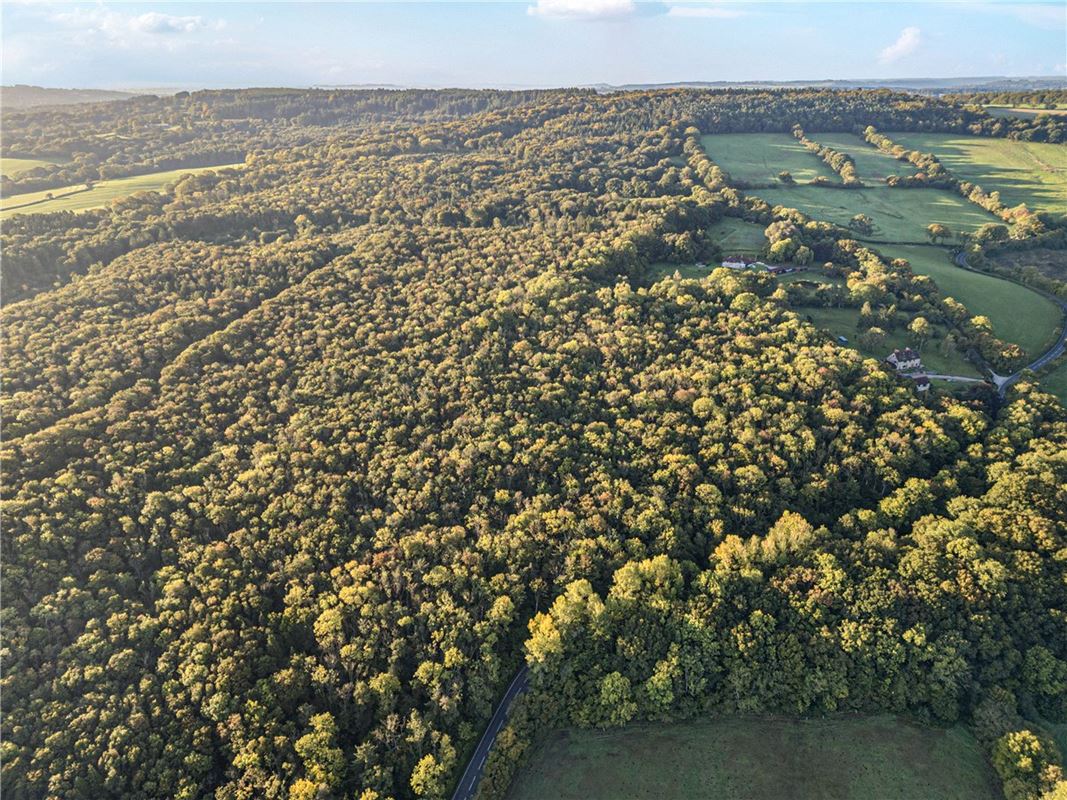 25.5 acres Land, Blake's Copse and Whitford Copse, Corfe TA3 - Sold STC