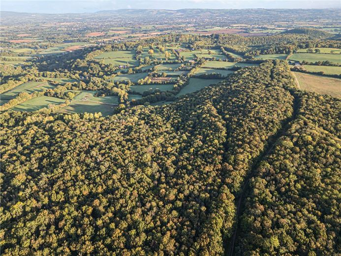 25.5 acres Land, Blake's Copse and Whitford Copse, Corfe TA3 - Sold STC