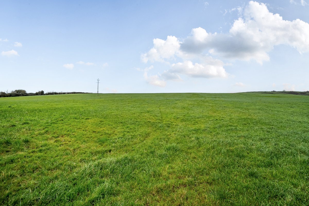 172 acres Farm, Long Bredy, Dorchester DT2 - Available