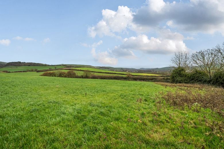 172 acres Farm, Long Bredy, Dorchester DT2 - Available
