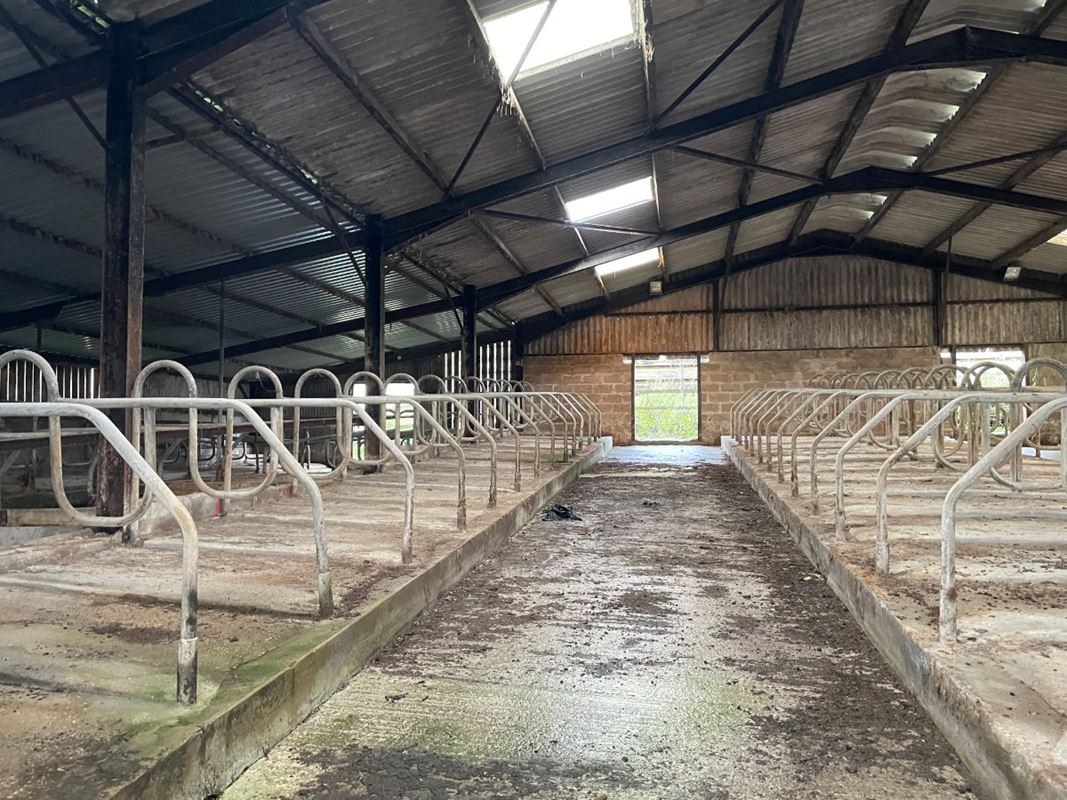 172 acres Farm, Long Bredy, Dorchester DT2 - Available