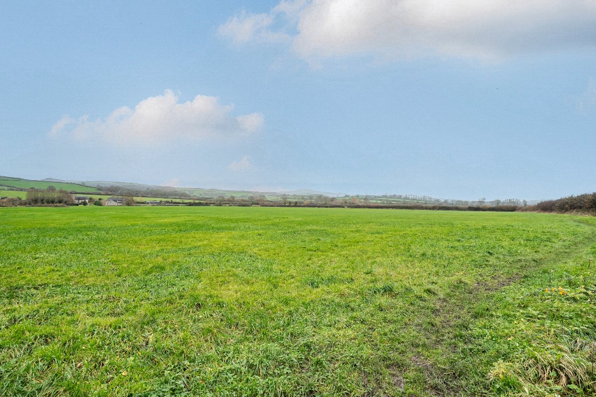172 acres Farm, Long Bredy, Dorchester DT2 - Available