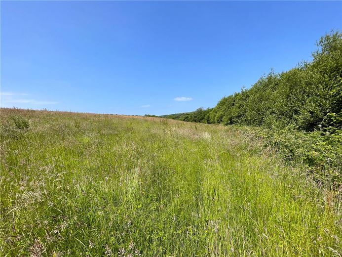 19.4 acres Land, Morwenstow, Bude EX23 - Sold