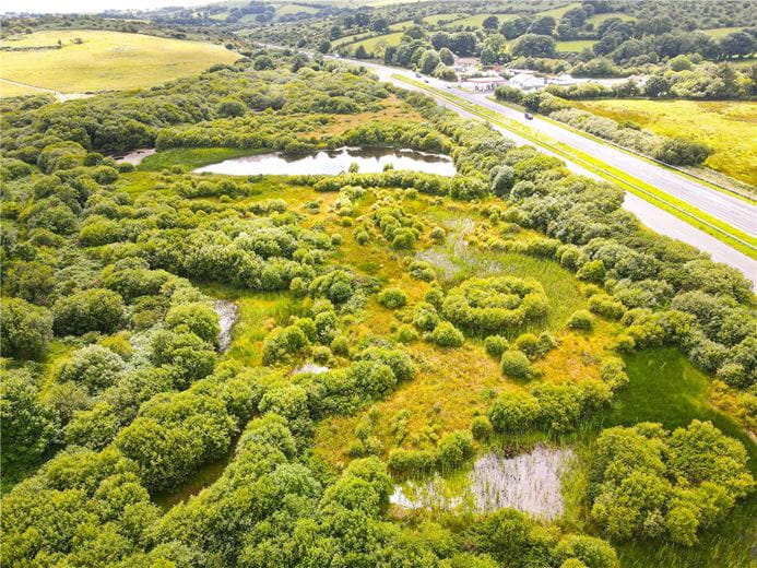 17 acres Land, Trewint, Altarnun PL15 - Sold