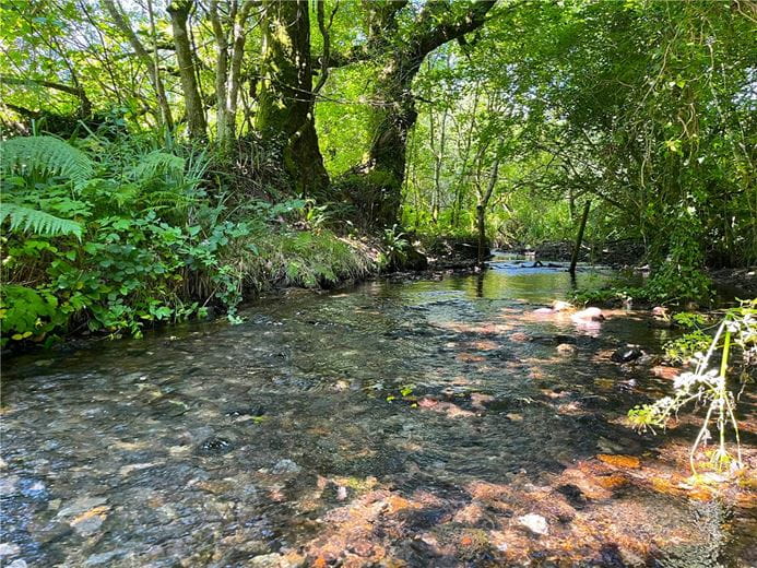 6.7 acres House, Cardinham, Bodmin PL30 - Available