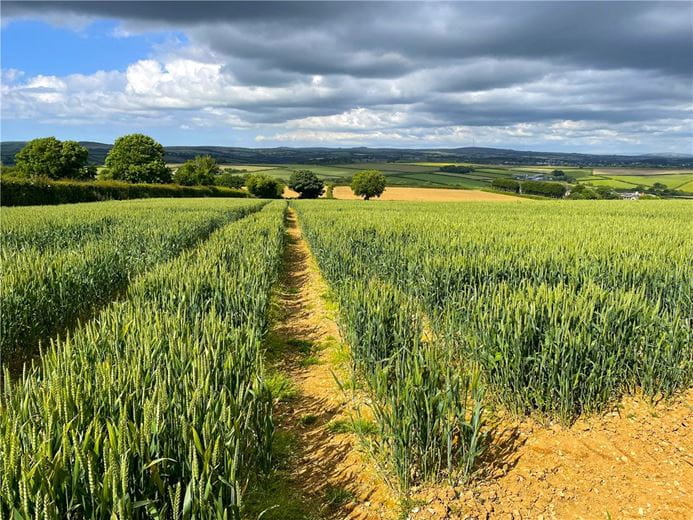 19.8 acres Land, East Taphouse, Liskeard PL14 - Sold