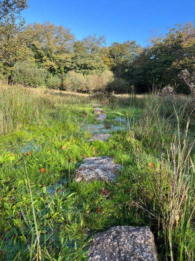 70.7 acres Land, Zelah, Truro TR4 - Sold