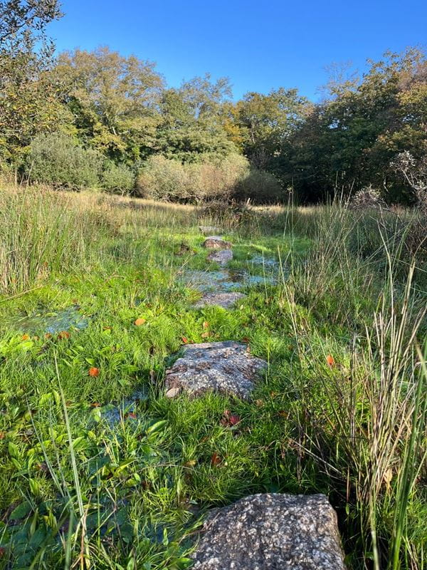 70.7 acres Land, Zelah, Truro TR4 - Sold