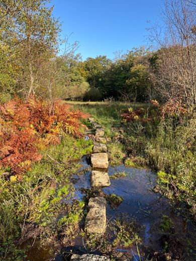 70.7 acres Land, Zelah, Truro TR4 - Sold