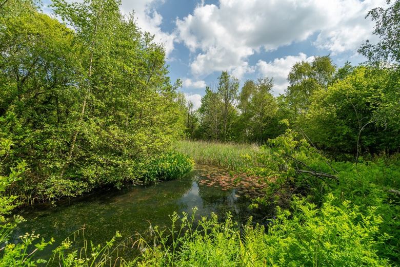 50 acres Farm, Tresamble, Gwennap TR16 - Sold