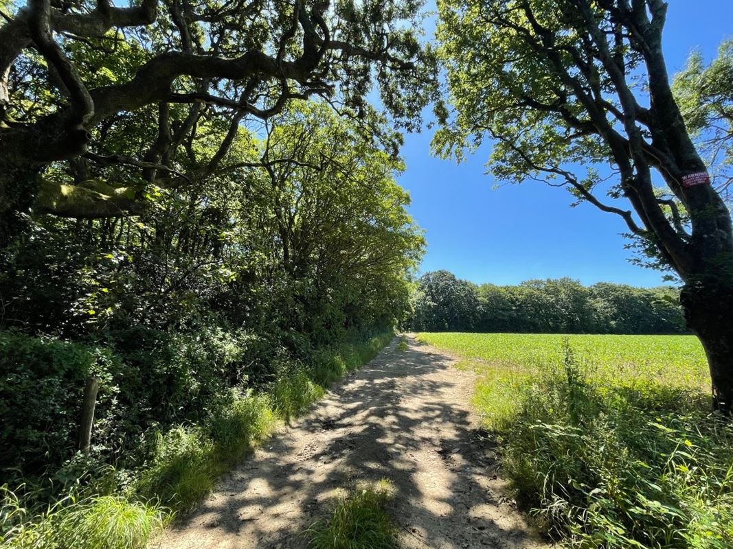 240 acres Land, Praze, Camborne TR14 - Sold