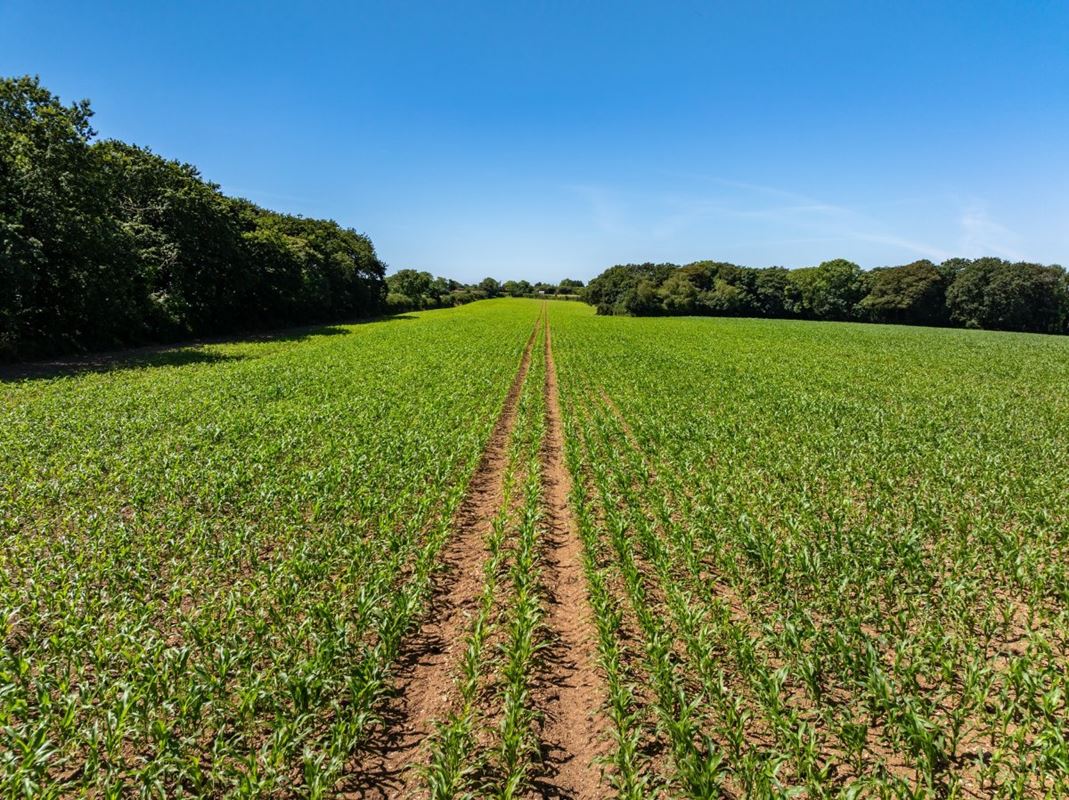 240 acres Land, Praze, Camborne TR14 - Sold