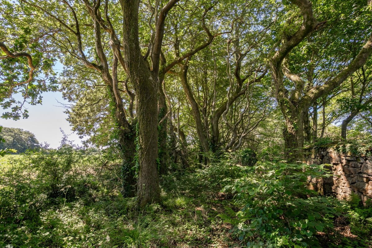 41.7 acres Land, Praze, Camborne TR14 - Sold