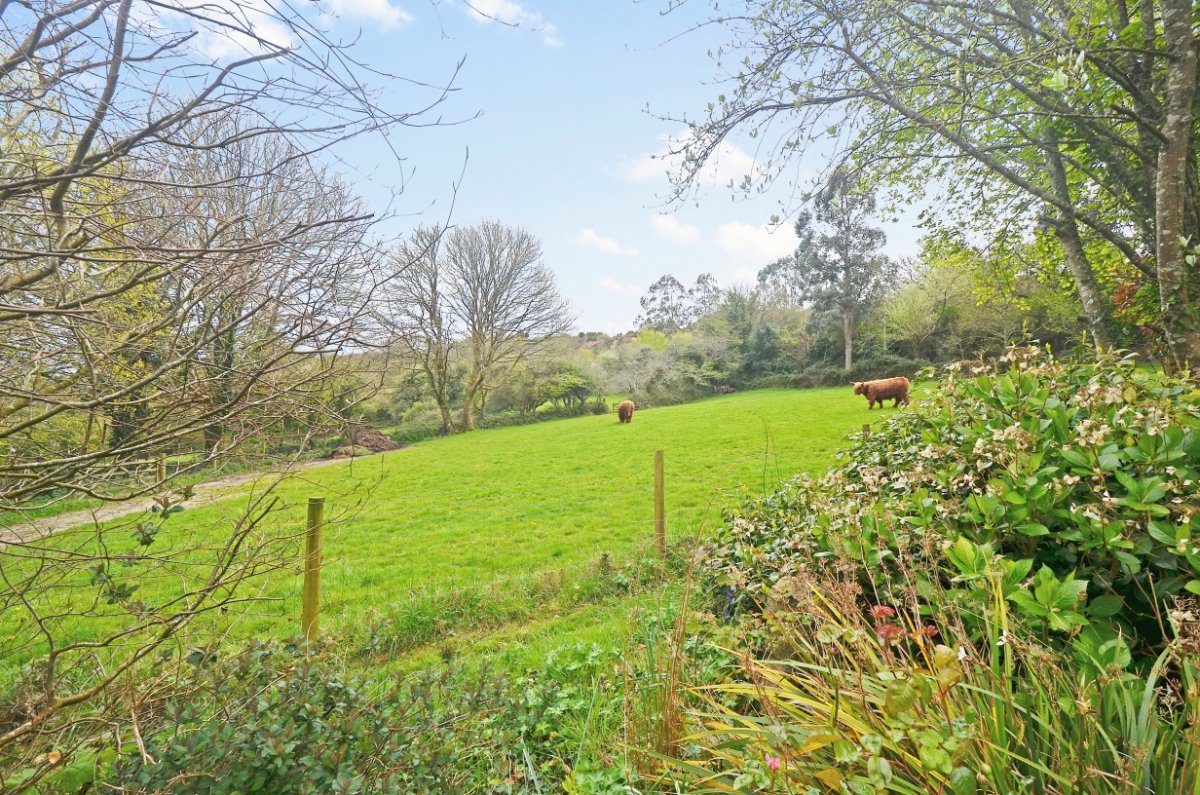 6.8 acres Farm, Hale Mills, Twelveheads TR4 - Available