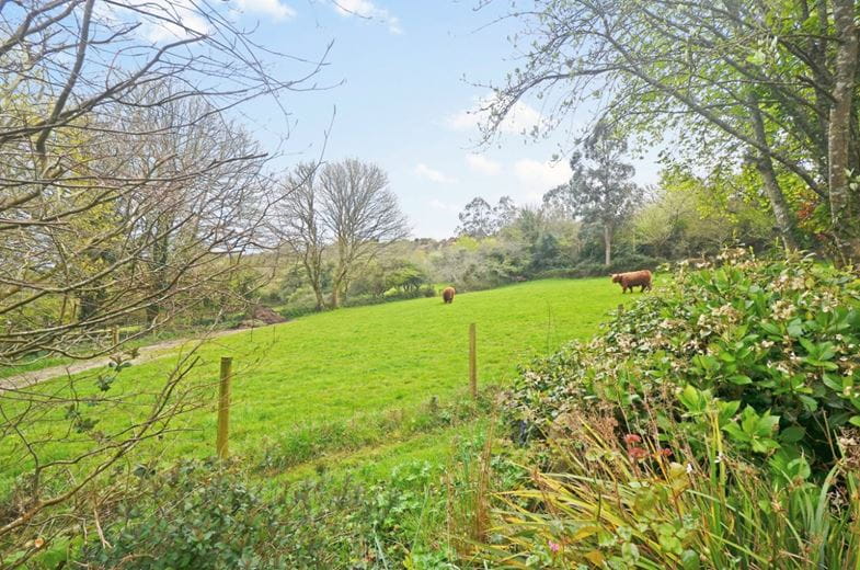 3.2 acres Farm, Hale Mills, Twelveheads TR4 - Available
