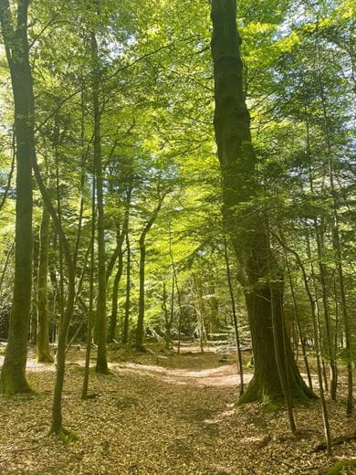 60.4 acres House, Zelah, Truro TR4 - Available