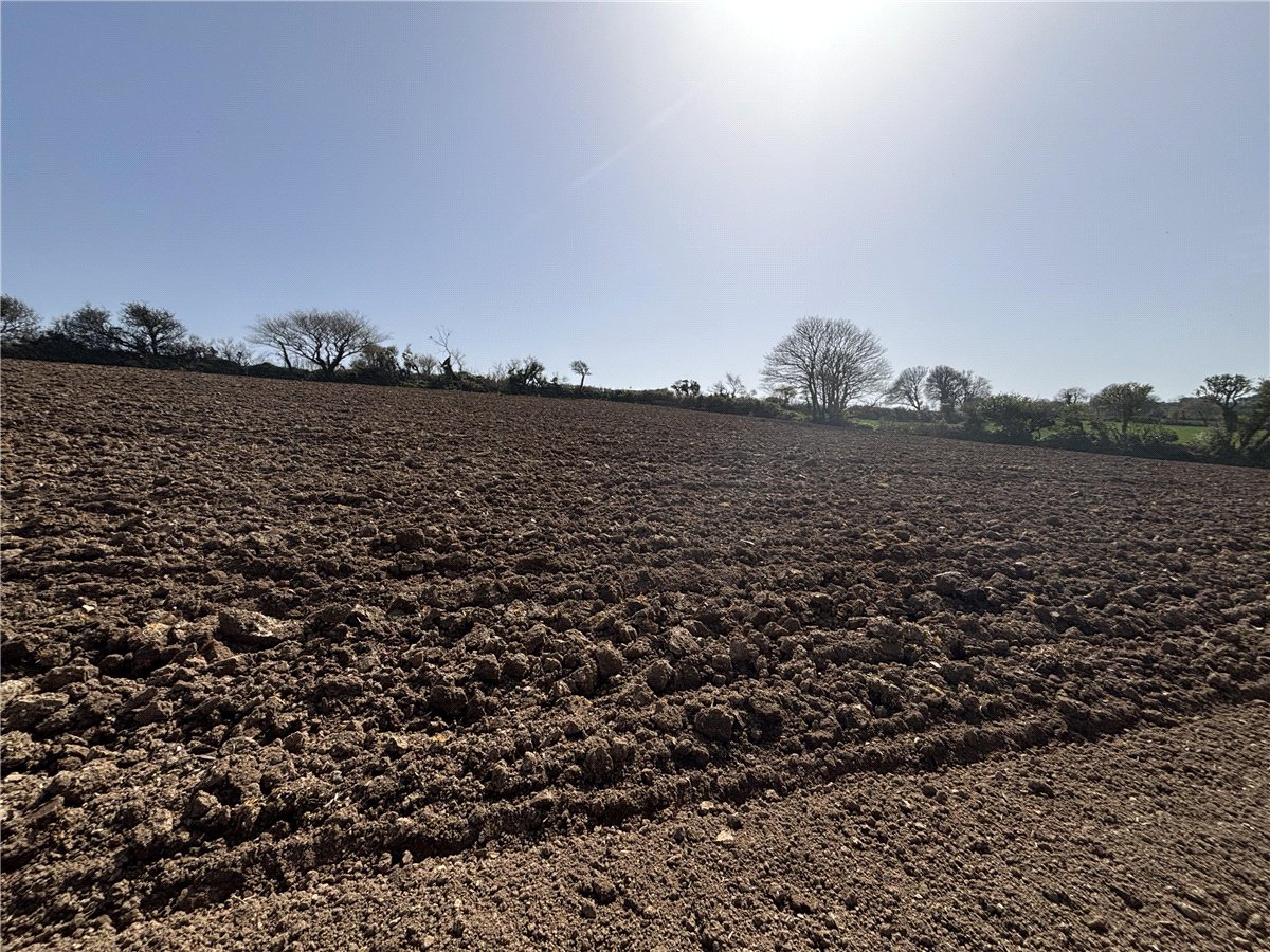 2 acres Land, Land At Tredinnick Wartha, St. Keverne TR12 - Available