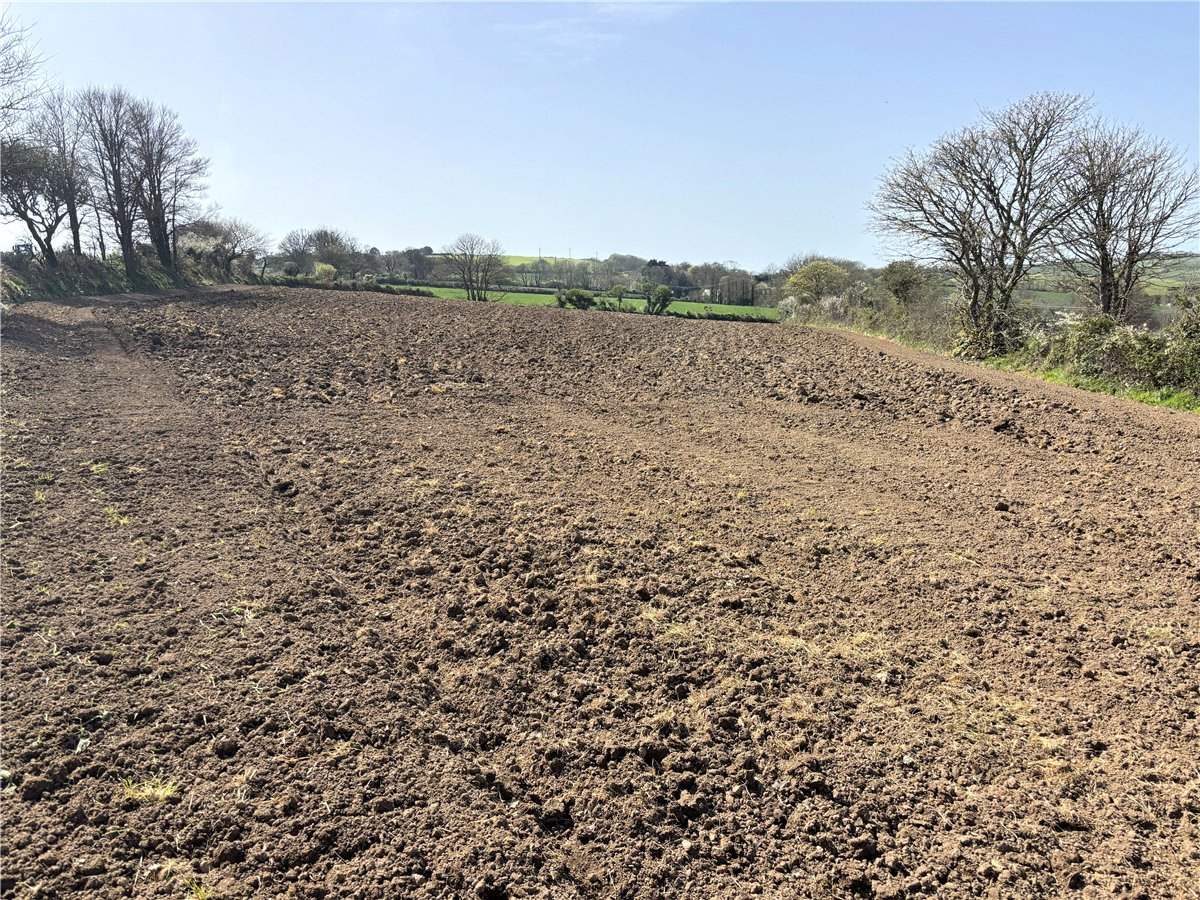 12 acres Land, Land At Tredinnick Wartha, St. Keverne TR12 - Available