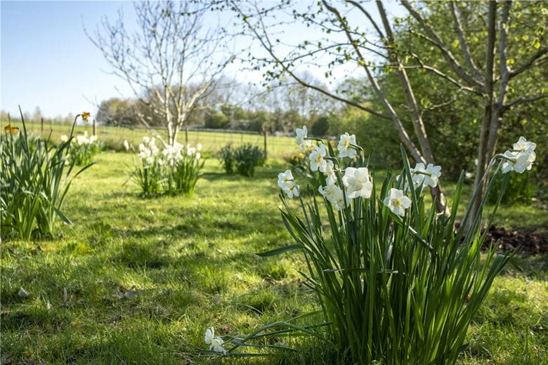 4 bedroom house, Stoke Charity Road, Kings Worthy SO21 - Available