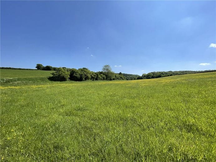 15.2 acres Land, Ecchinswell, Newbury RG20 - Sold