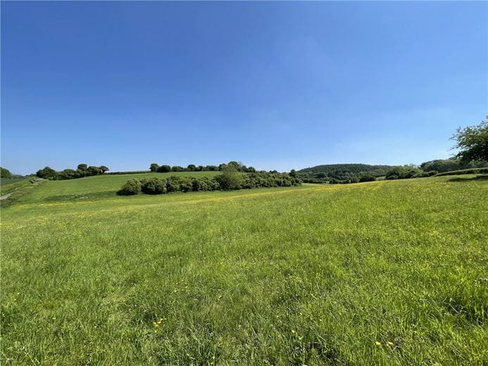 15.2 acres Land, Ecchinswell, Newbury RG20 - Sold