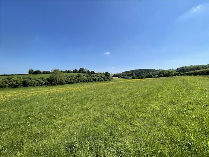 15.2 acres Land, Ecchinswell, Newbury RG20 - Sold