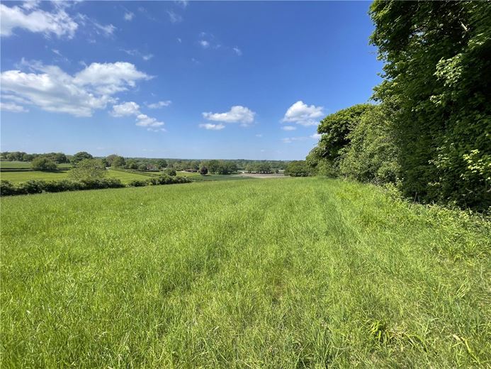 15.2 acres Land, Ecchinswell, Newbury RG20 - Sold