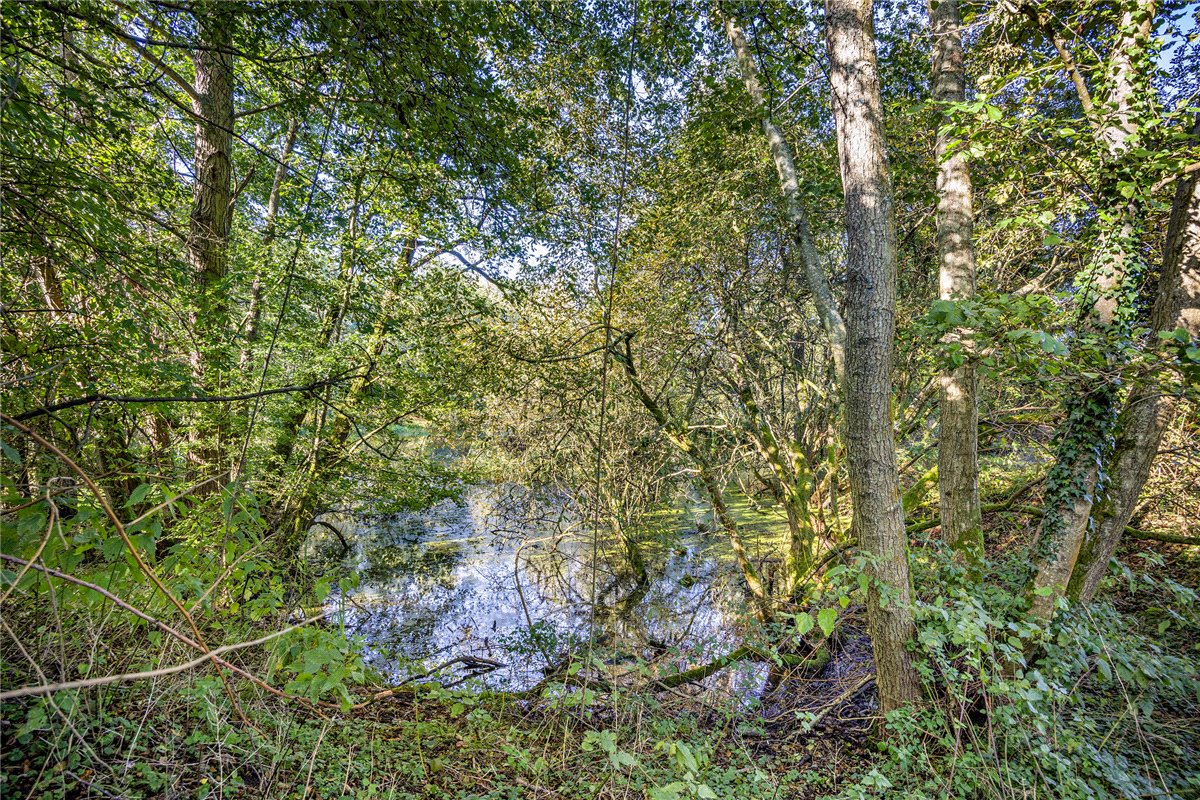 1.4 acres Land, Lower Way, Thatcham RG19 - Sold