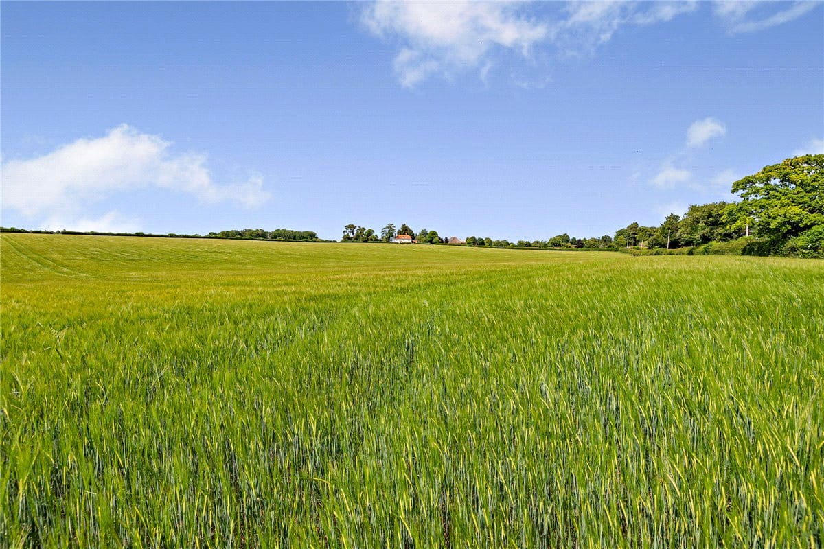 100 acres House, Leckhampstead, Newbury RG20 - Sold STC