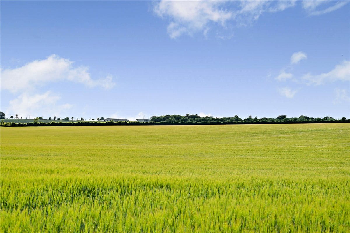 156.1 acres Land, Leckhampstead, Newbury RG20 - Sold STC